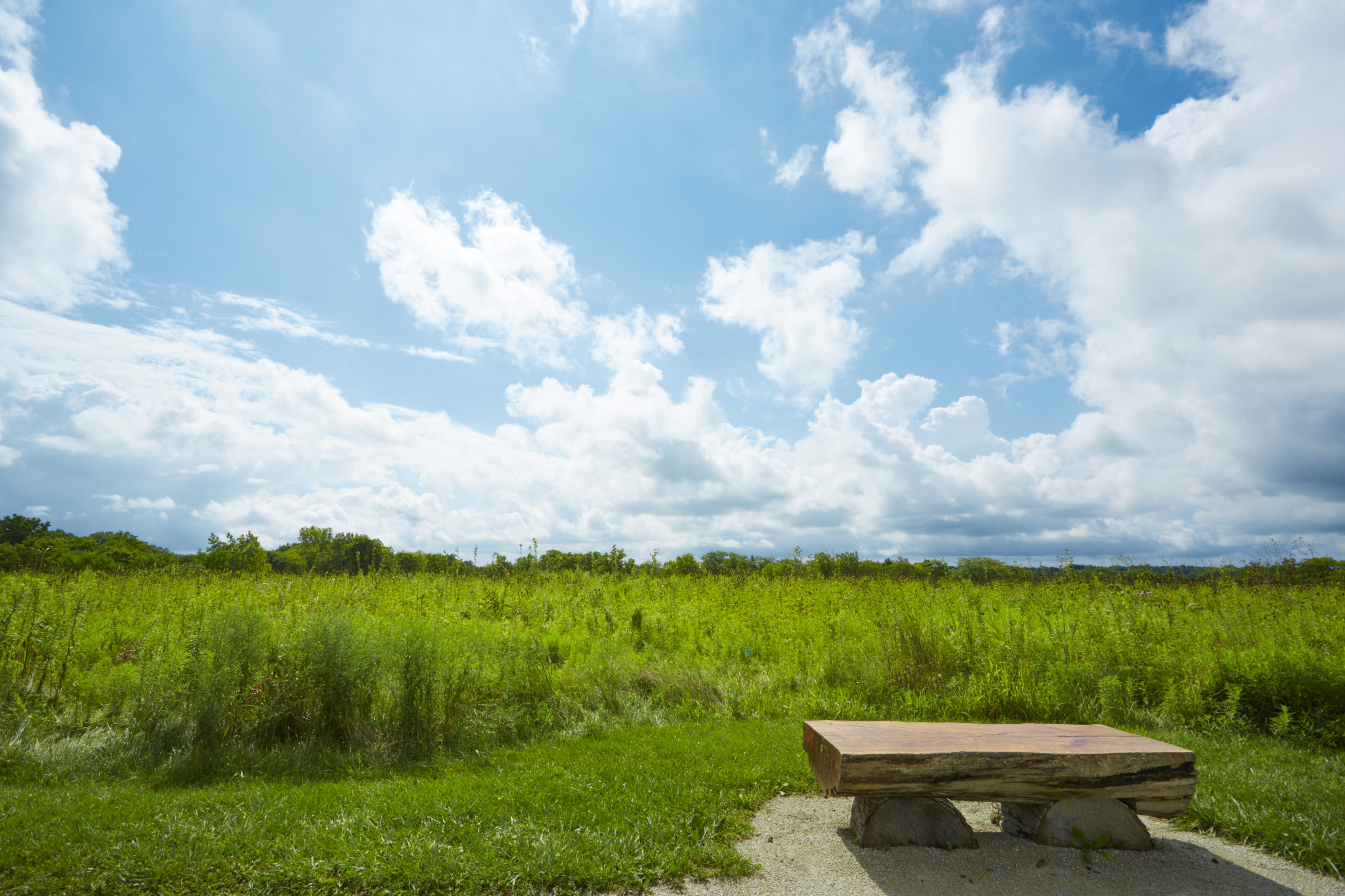 Springbrook-Prairie-bench-900x600